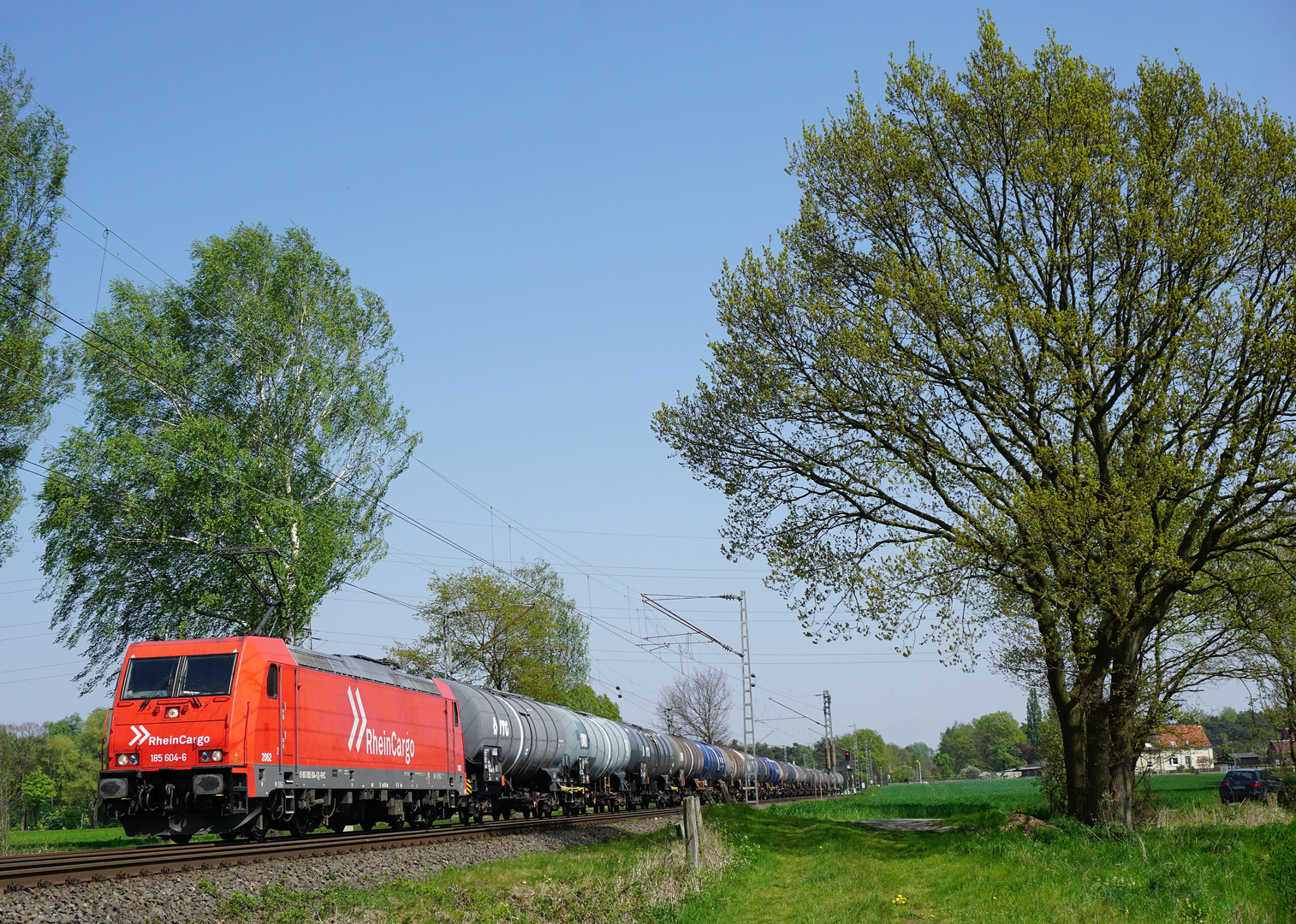 185 604-6 --RheinCargo-- mit Container am 23.04.19 in Hamm Neustadt