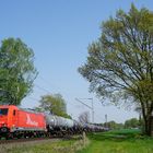 185 604-6 --RheinCargo-- mit Container am 23.04.19 in Hamm Neustadt