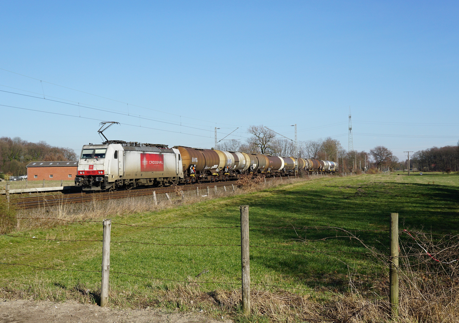 186-150 --Crossrail-- am 26.02.19 in Hamm-Neustadt