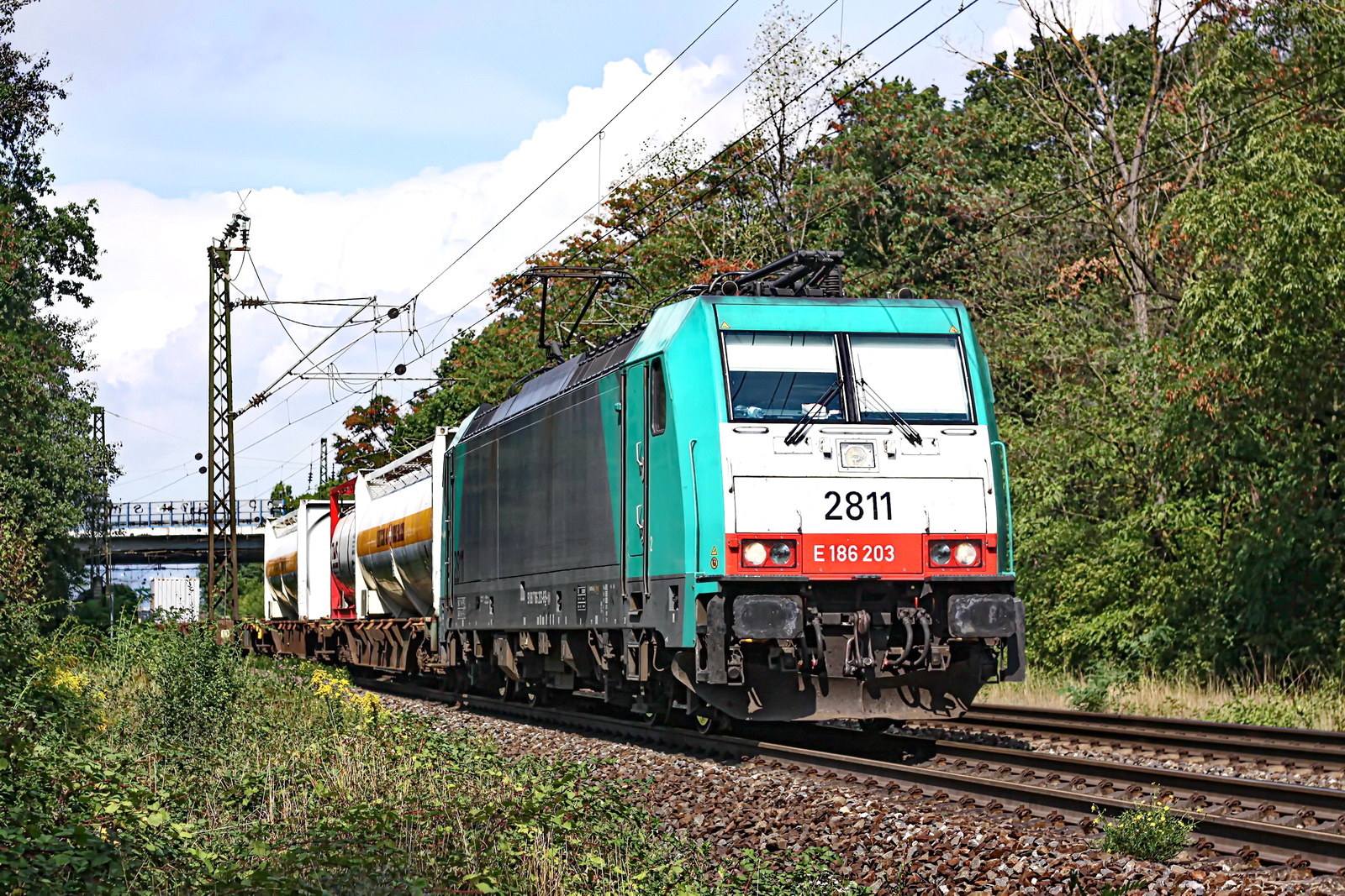 186 203 (2811) vor einem gem. Güterzug