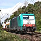 186 203 (2811) vor einem gem. Güterzug