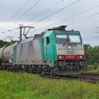 186 219 2827 mit einem Kesselzug