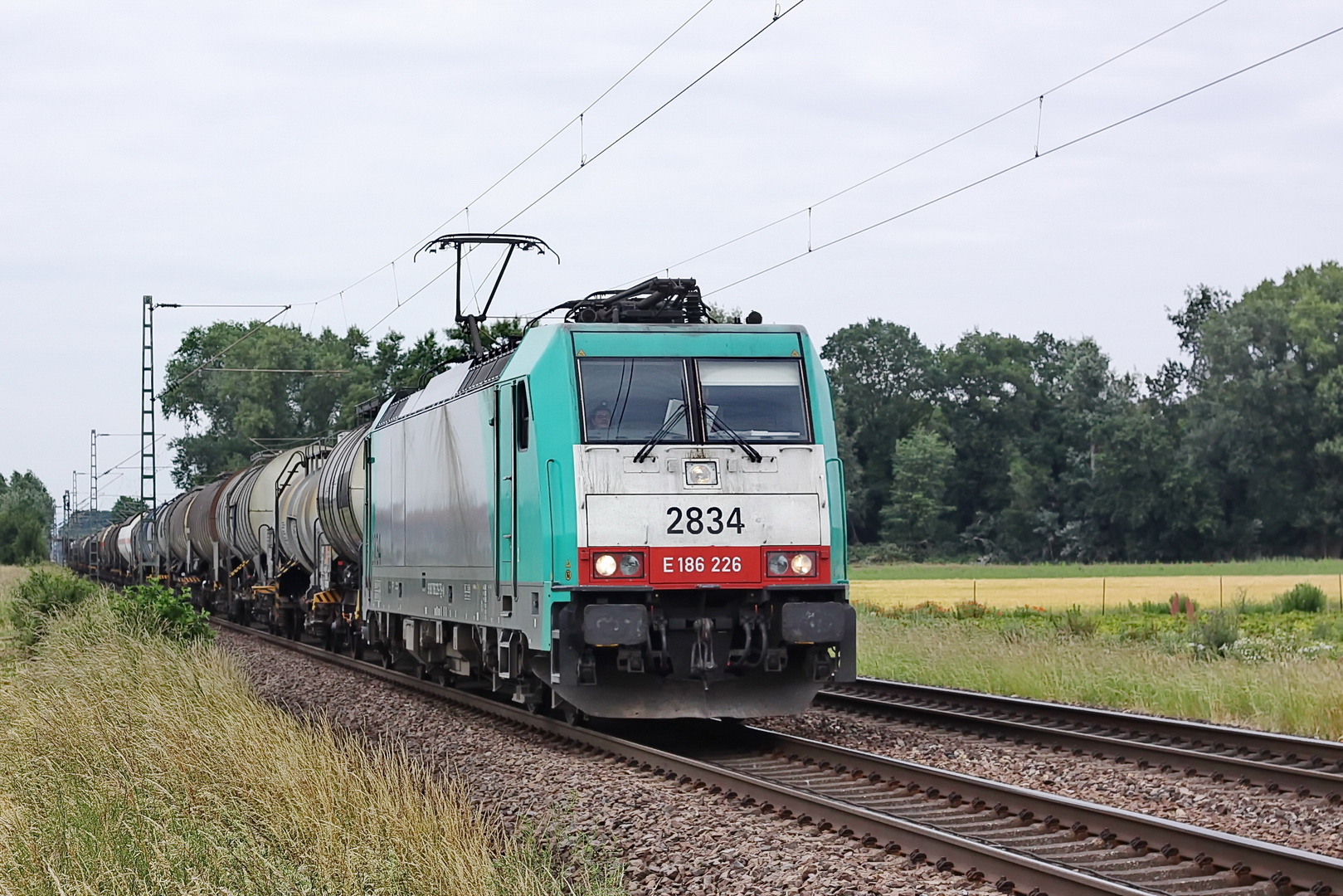 186 226 - 2834 Cobra mit einem Kesselzug