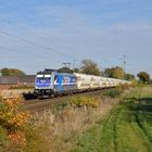 186 300-0 --RTB Cargo--am 16.10.18 in Hamm-Neustadt