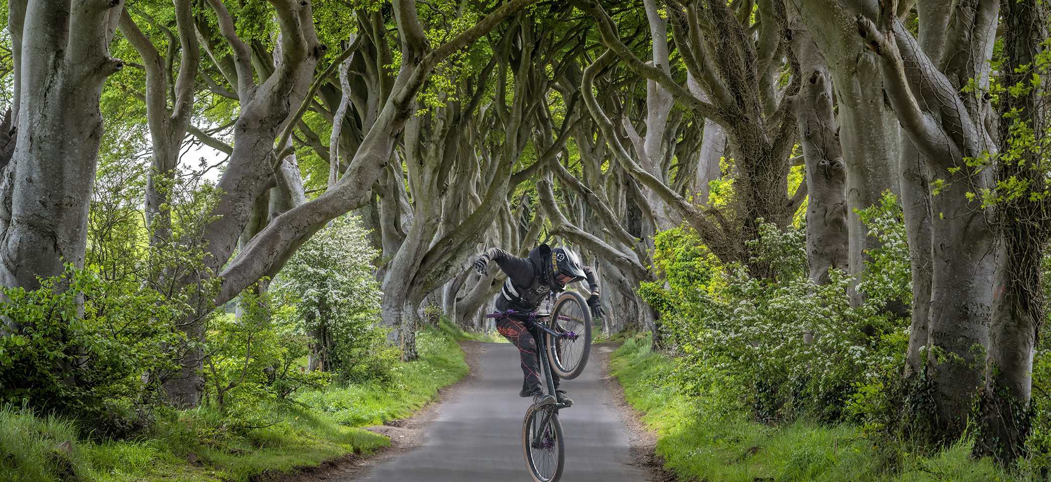 1860P Irland Dark Hedges mit Mountainbiker Panorama Composing