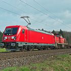 187 109 DB und 294 822 Railion 