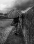 Die Frau mit dem Regenschirm; verlässt einen sicheren Wall. (20) by lophoto