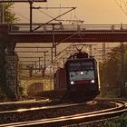 189 114 ES 64 F4-114 MRCE dispolok mit einem Containerzug im Gegenlicht