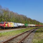 189 206 von SBB Cargo mit Vincent van Gogh Ganzreklame  und Containerzug am 16.04.19 in Bergkamen