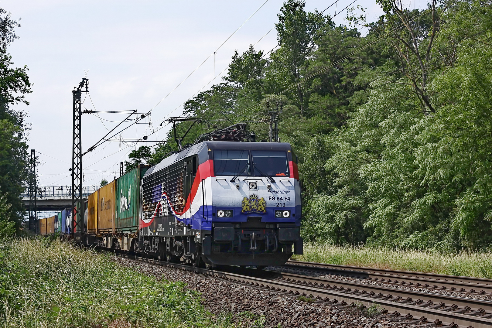 189 213 ES 64 F4-213 Freightliner vor einem gem. Güterzug