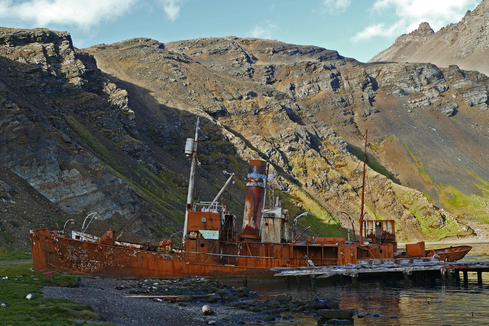 18_Grytviken (99)