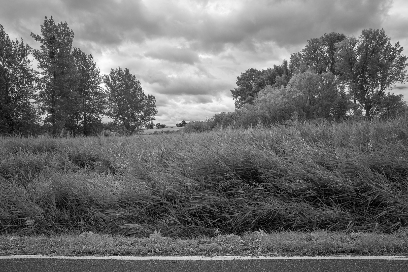 18.June 2018, Zülpicher Börde, Landschaft zwischen Linzenich und Sinzenich