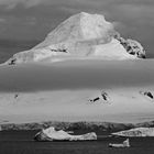 18_Port Lockroy (50)a