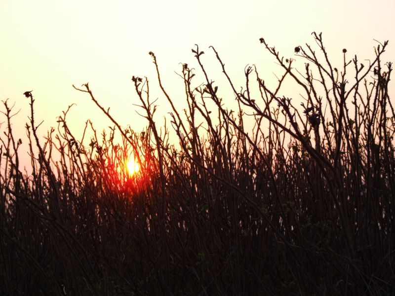 18uhr Nordwijk