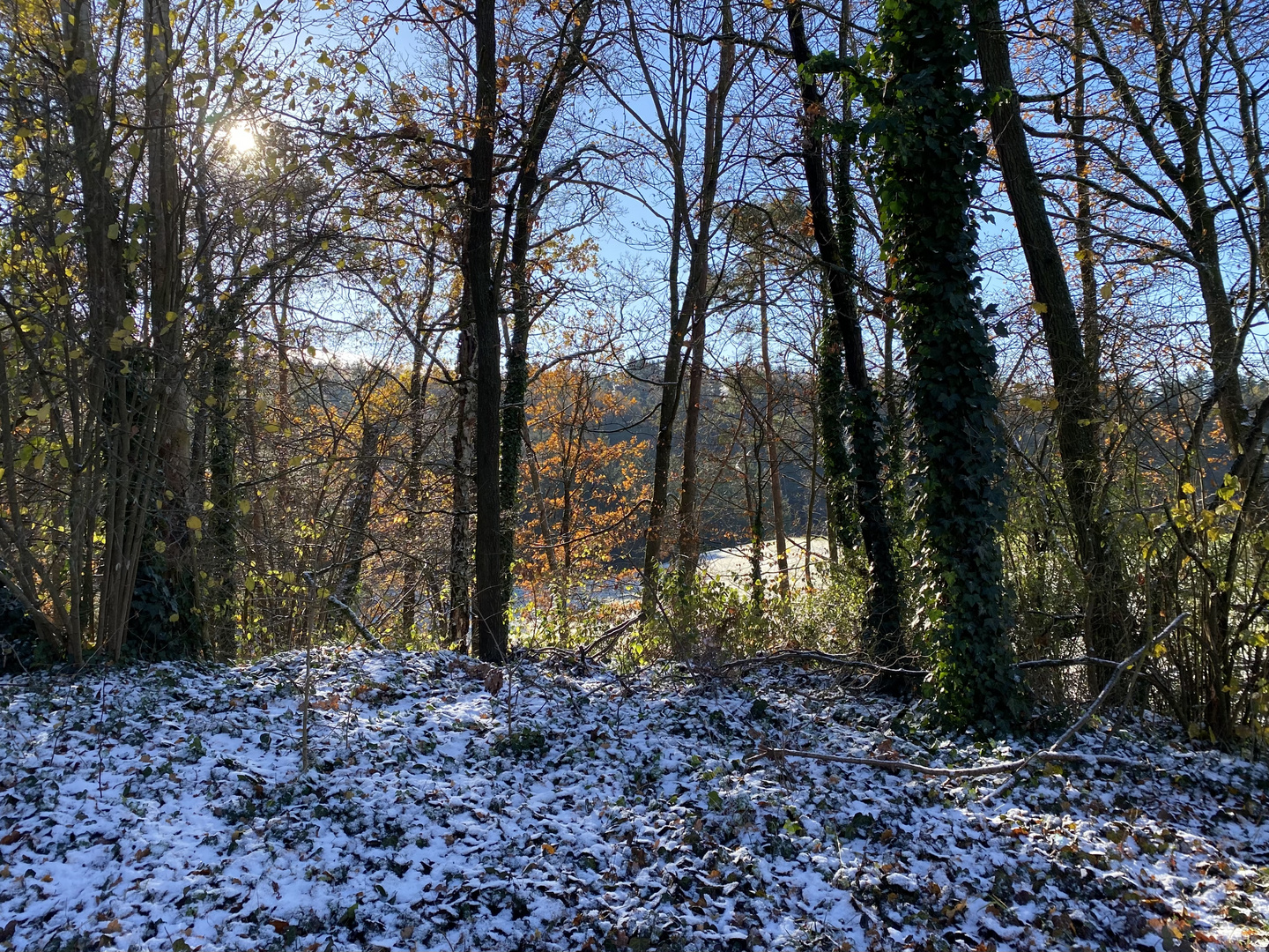 (19) Der erste richtige Schnee diesen Winter - ein wunderschöner Sonntagmorgen-Spaziergang