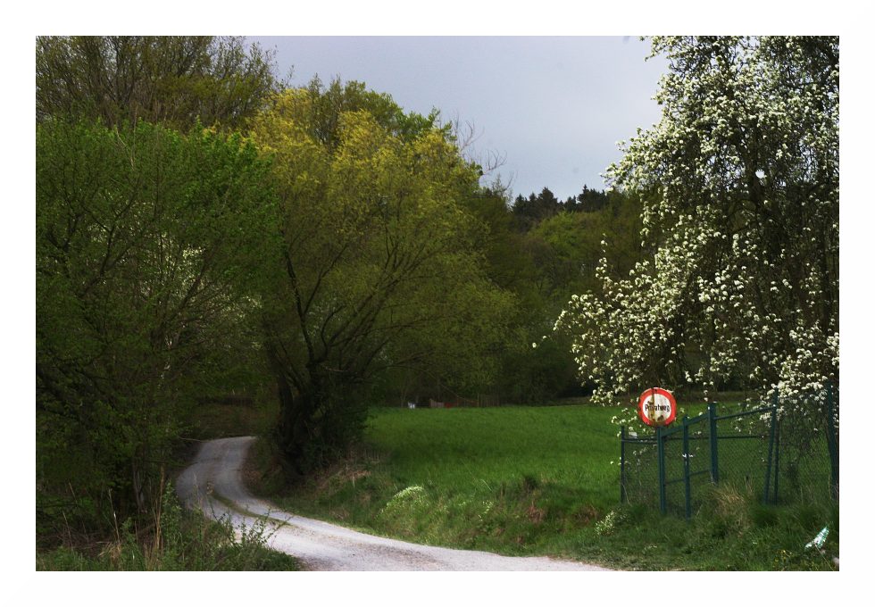 (19) Der Weg auf den Berg...