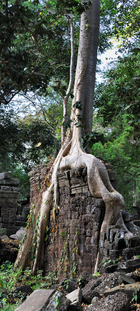 19 en el templo de Banteay Chhmar