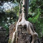 19 en el templo de Banteay Chhmar