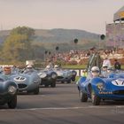 19 of 26 ever produced Jaguar D-Types.....