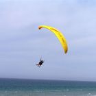 19 squaremeter tandem/acro paraglider