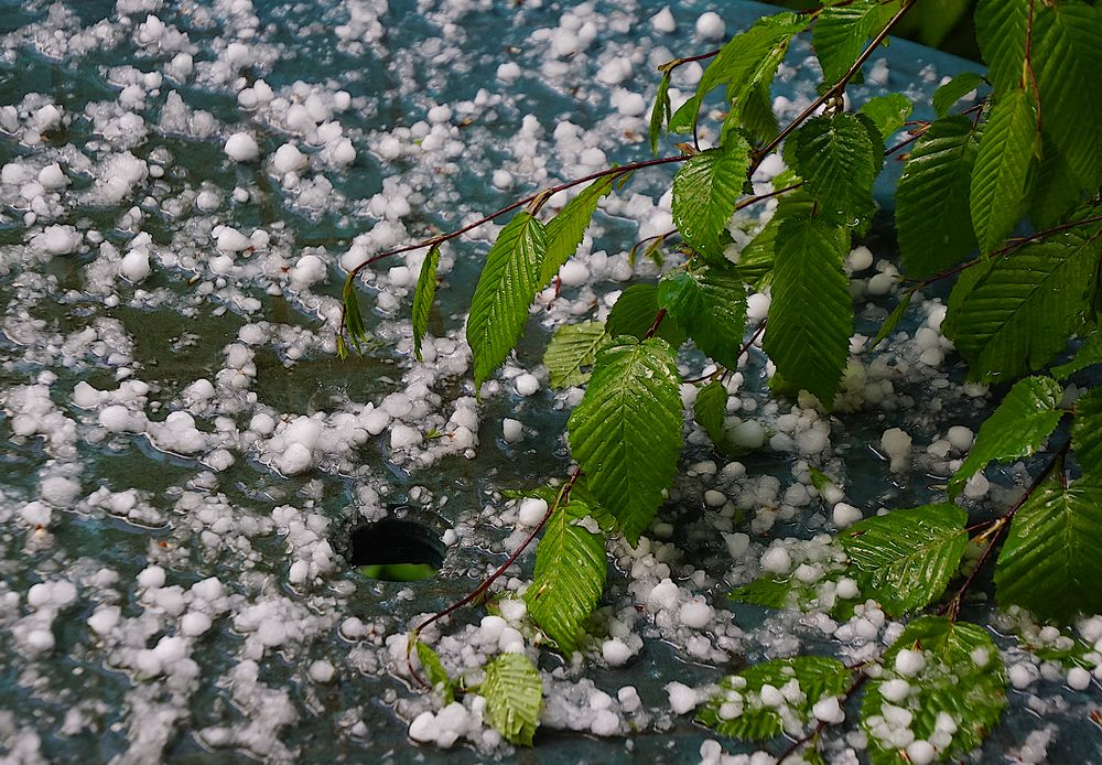 19 Uhr. Gewitter, Sturm und Hagel. Die Frisur ist hin.