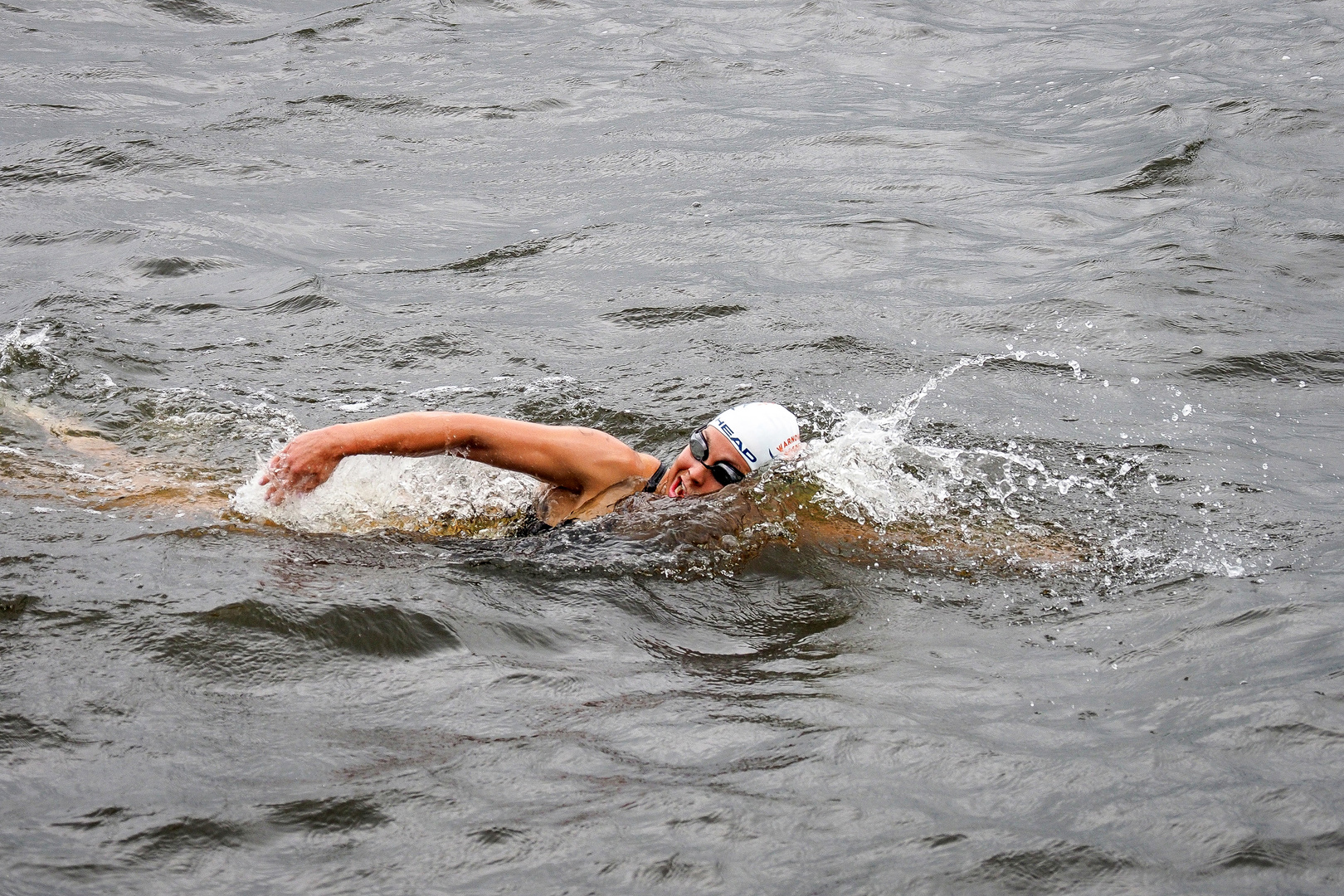 19. Warnowschwimmen lockte in den Rostocker Stadthafen