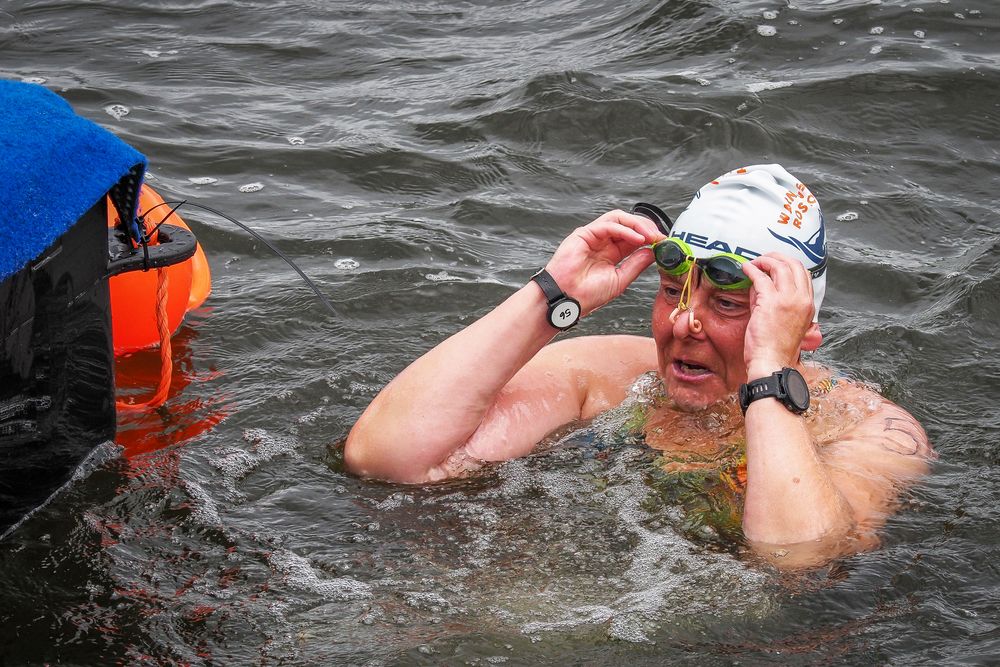 19. Warnowschwimmen lockte in den Rostocker Stadthafen