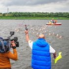 19. Warnowschwimmen lockte in den Rostocker Stadthafen