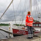 19. Warnowschwimmen lockte in den Rostocker Stadthafen