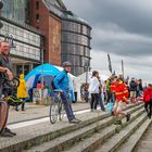 19. Warnowschwimmen lockte in den Rostocker Stadthafen