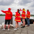 19. Warnowschwimmen lockte in den Rostocker Stadthafen