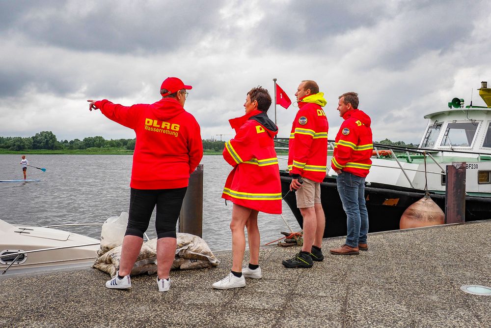 19. Warnowschwimmen lockte in den Rostocker Stadthafen