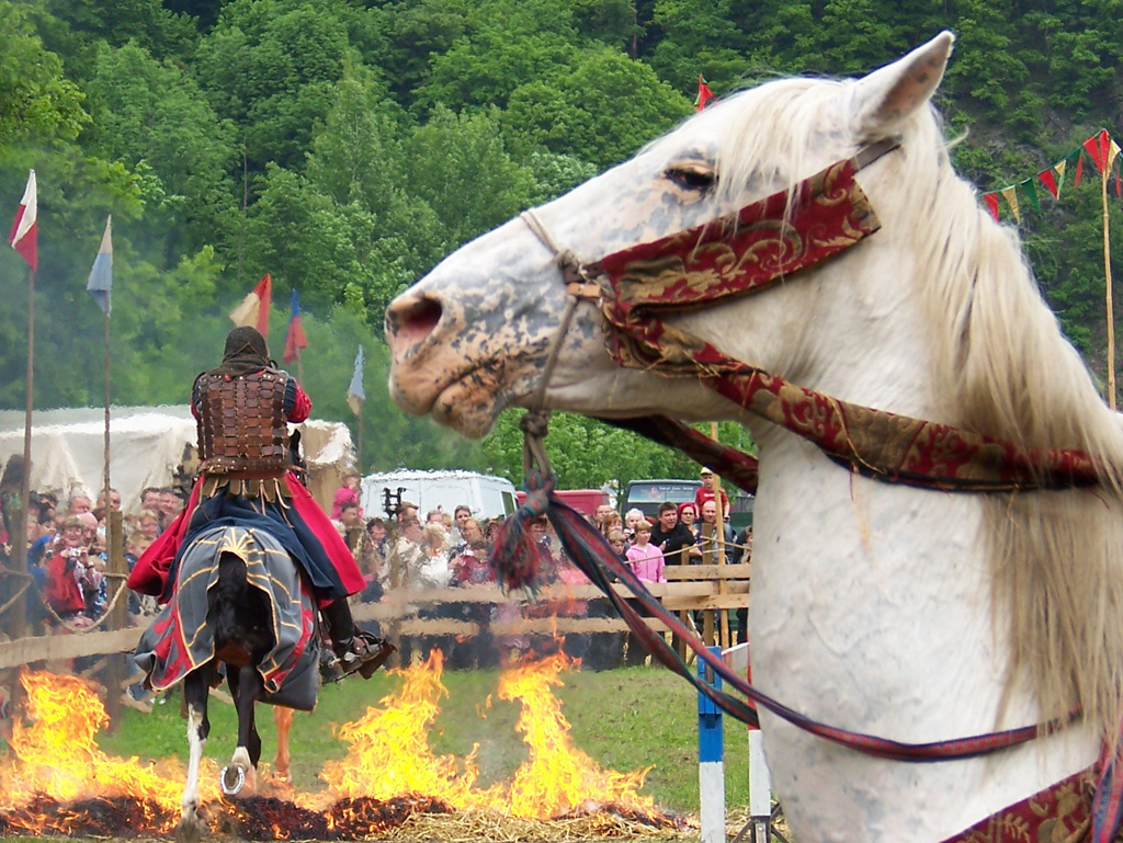 19. Weesensteiner Mittelalterfest