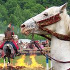 19. Weesensteiner Mittelalterfest