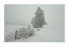 19.01.13_Winterruhe