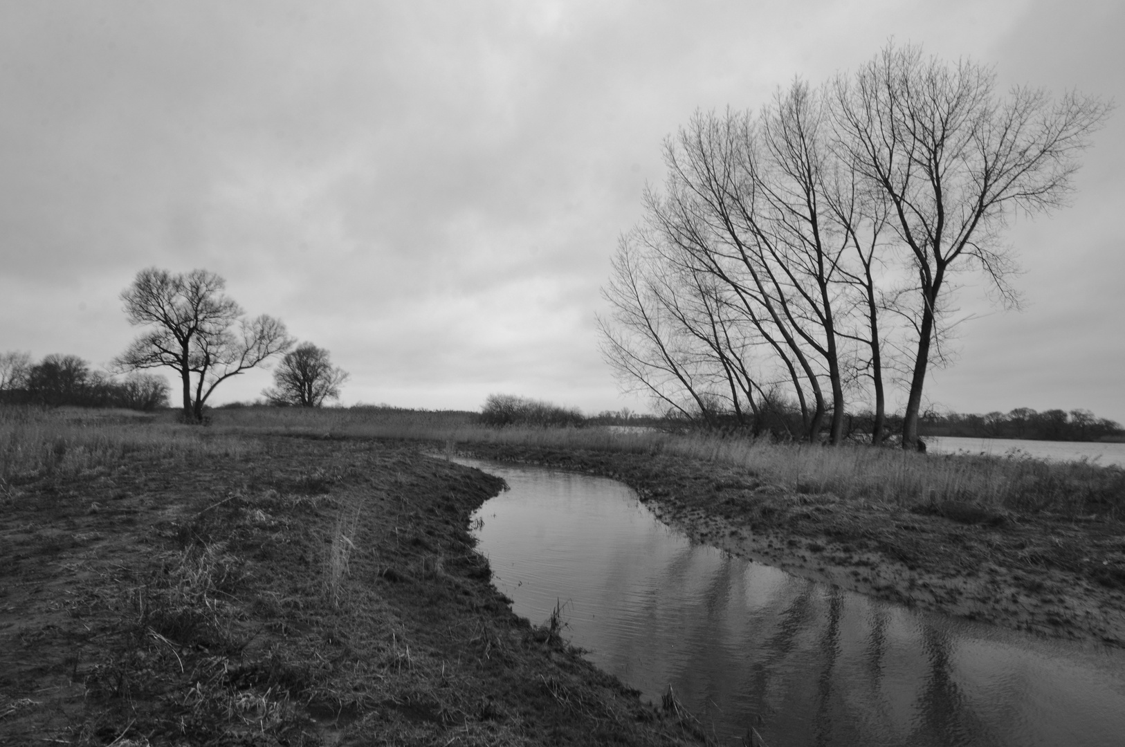 190116 - Grauer Tag an der Elbe I