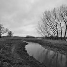 190116 - Grauer Tag an der Elbe I