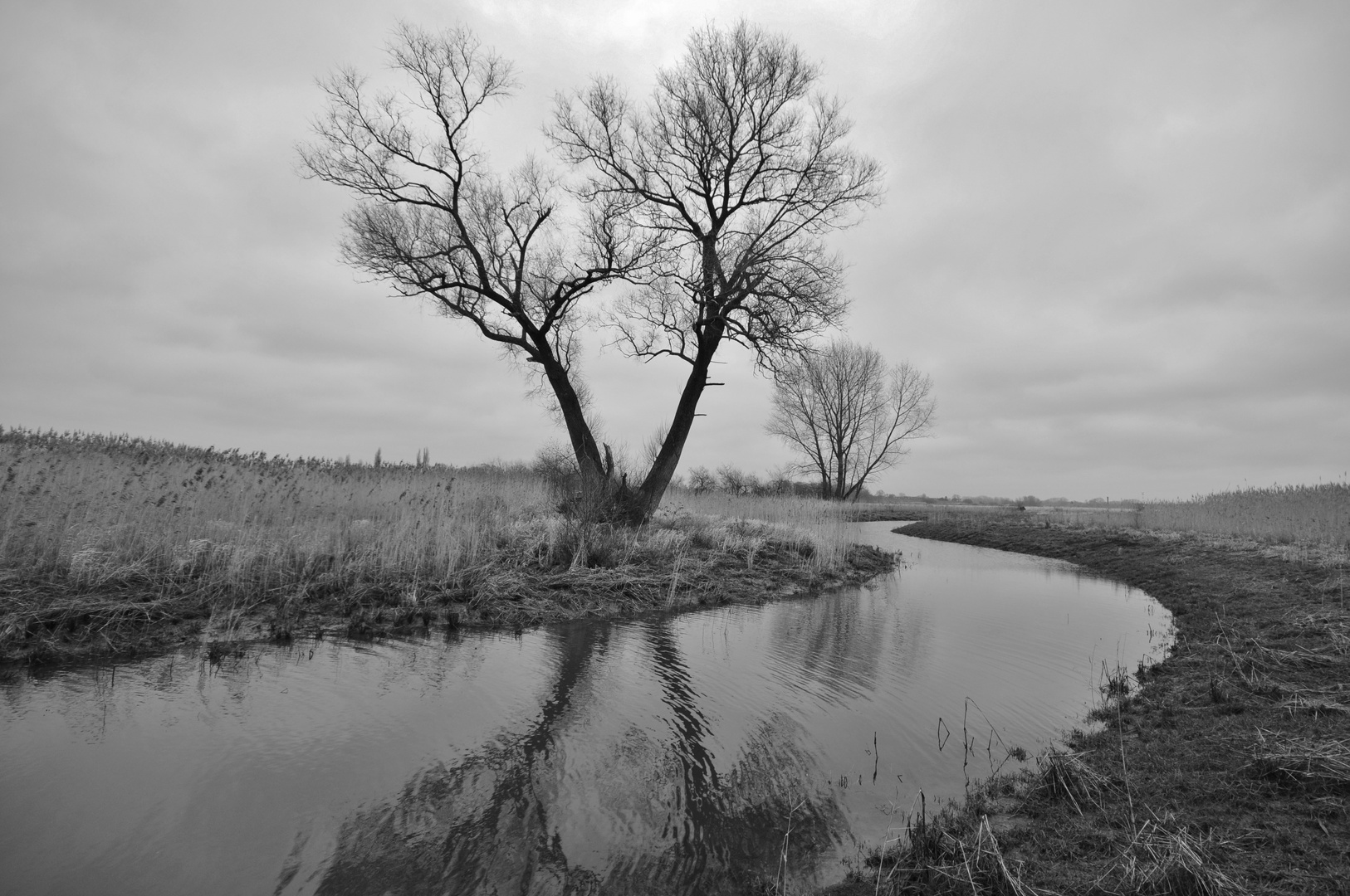 190116 - Grauer Tag an der Elbe II