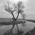 190116 - Grauer Tag an der Elbe II