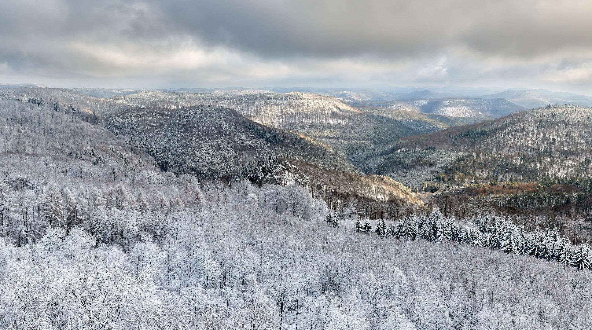  19.01.2024 ca. 14 Uhr, bei knackiger Kälte aufgenommen, nach dem Schneefall am Donnerstag...