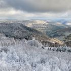  19.01.2024 ca. 14 Uhr, bei knackiger Kälte aufgenommen, nach dem Schneefall am Donnerstag...