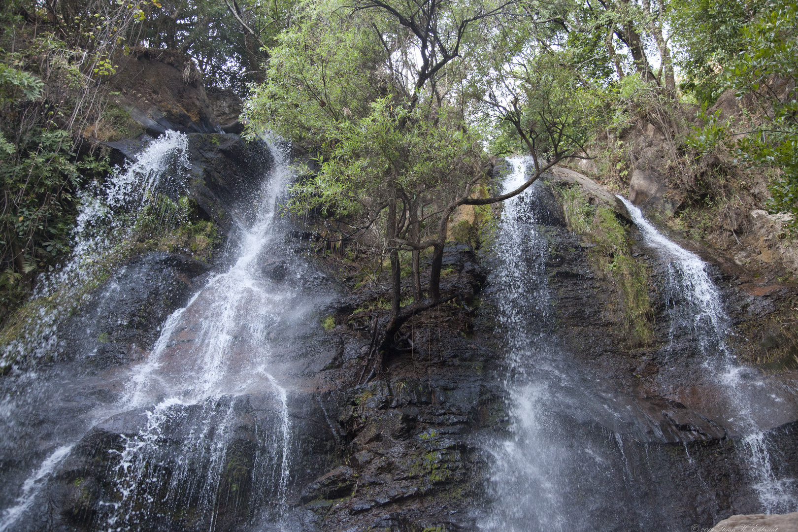 1901Taxco: Waterfall