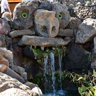 190413-21 Lanzarote -Kakteengarten (34)