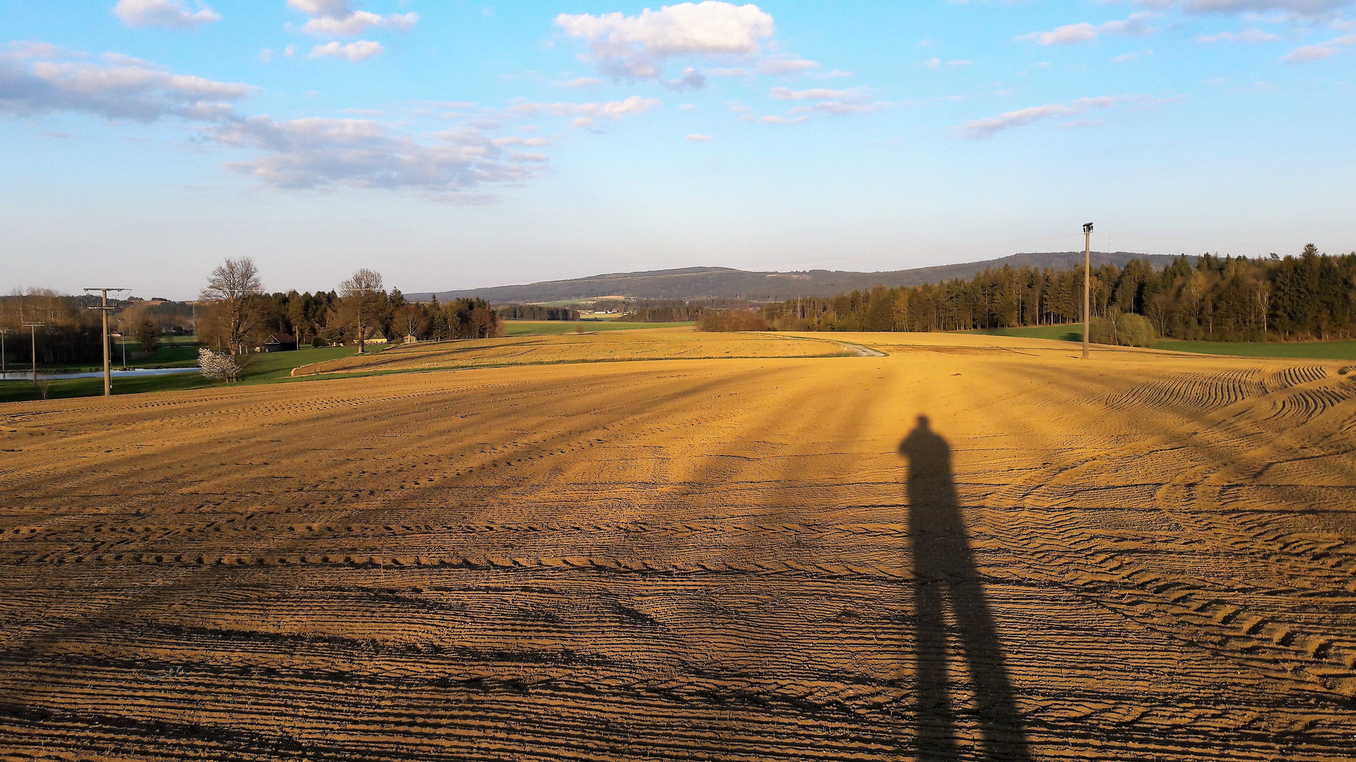 19.04.2020  Man möchte den Humus am liebsten selbst  festhalten