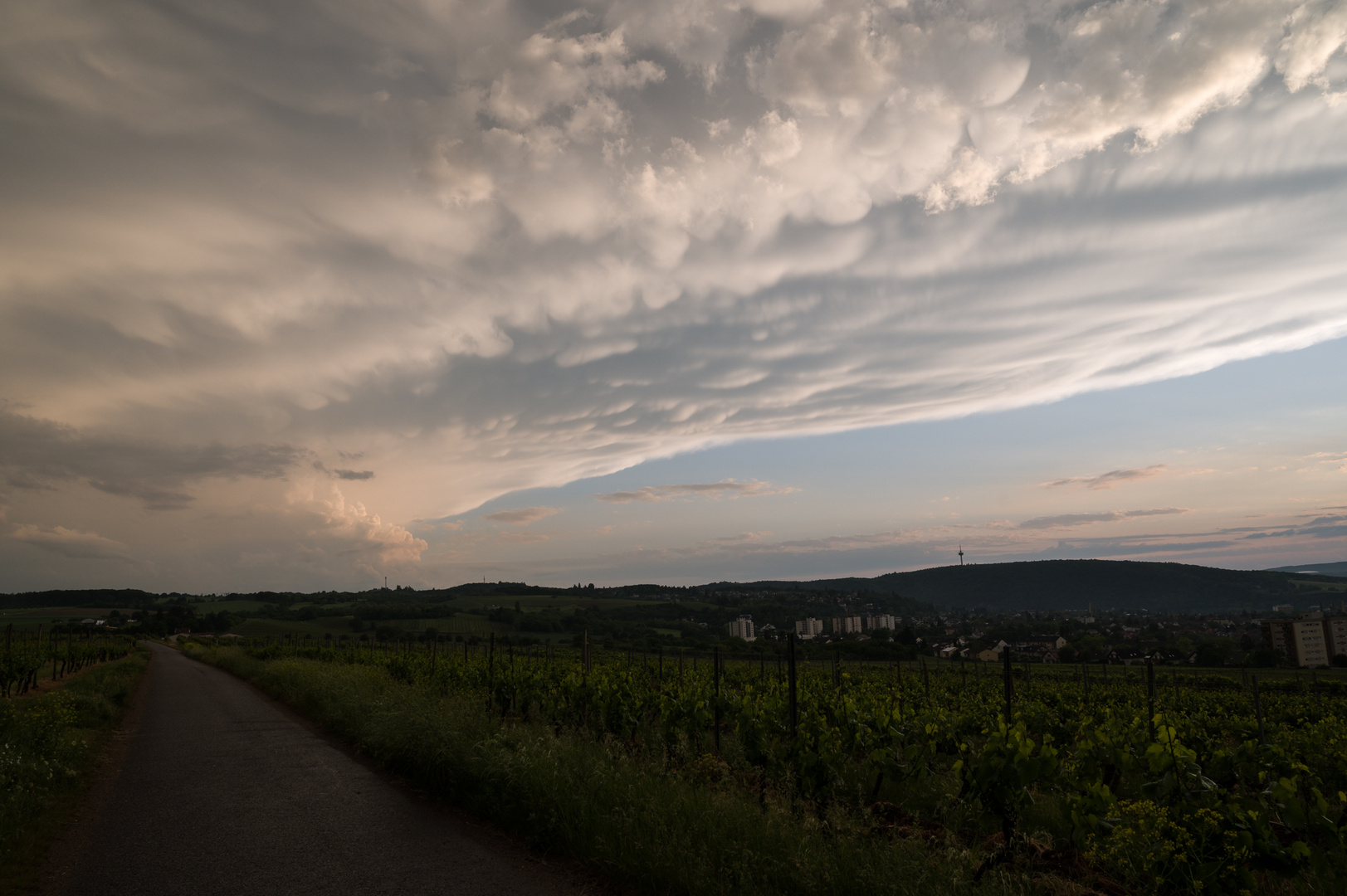 19.05. 2022 um 20:50 Uhr