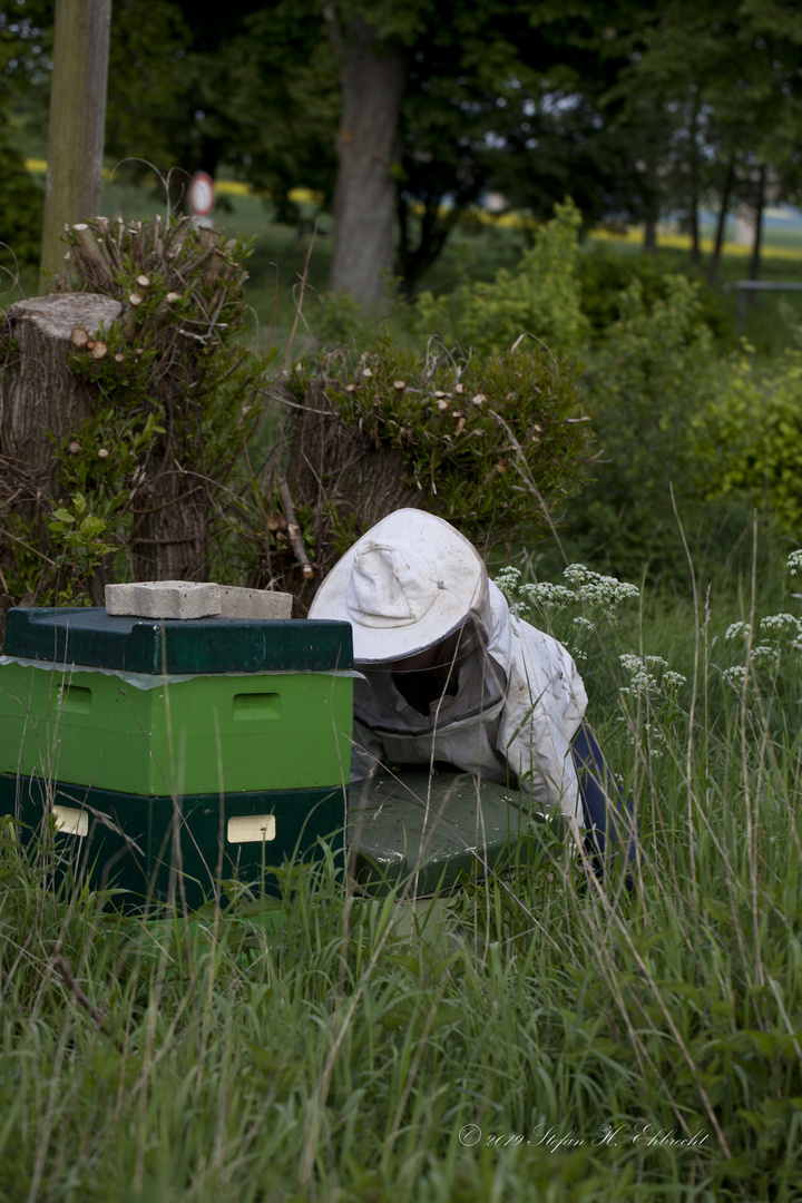 1905 BEE & beekeeper