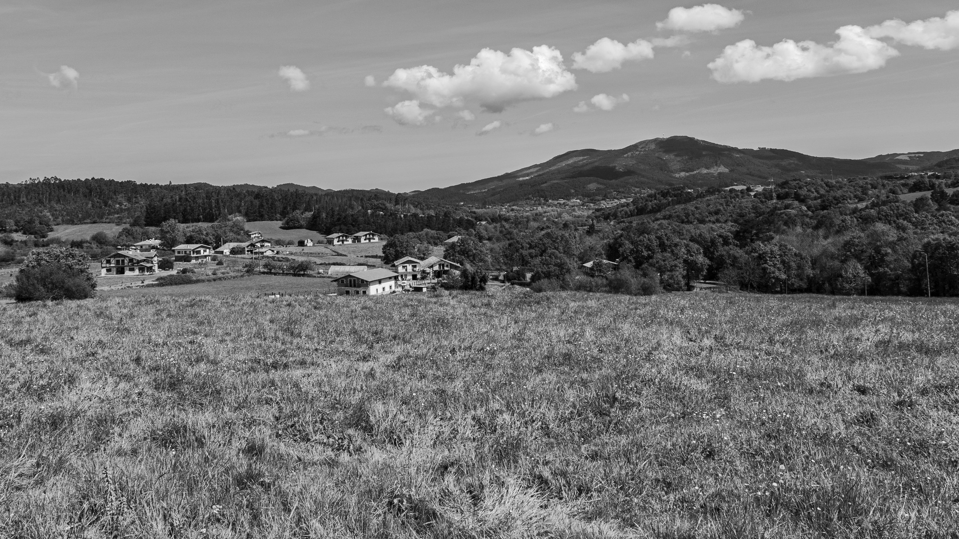 1905_0788 Landschaft bei Laukiz / Bilbao