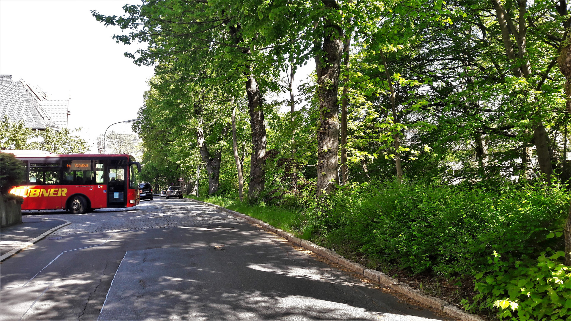 19.05.2020  Münchberg Alleebäume Kreuzberg 