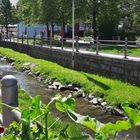 19.05.2020 Münchberg :Renaturiertes Flussbett der Pulschnitz 