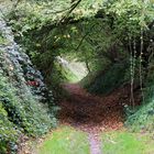 19073 green tunnel (Hohlweg im Mergelland)